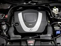 2010 Mercedes-Benz E-Class Coupe  - Engine