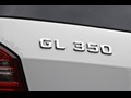 2010 Mercedes-Benz GL350 BlueTEC - Detail
