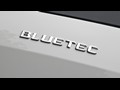 2010 Mercedes-Benz GL350 BlueTEC - Detail