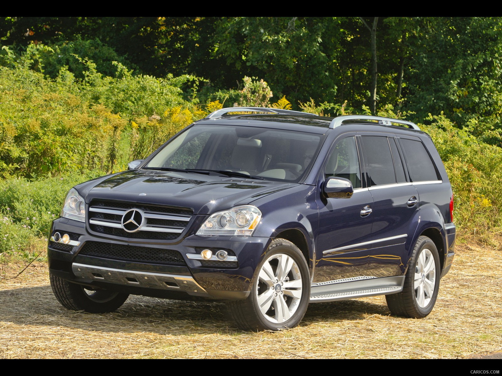 2010 Mercedes-Benz GL450 - Front, #74 of 112