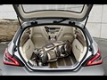 2010 Mercedes-Benz Shooting Break Concept  - Interior