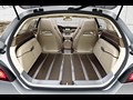 2010 Mercedes-Benz Shooting Break Concept  - Interior