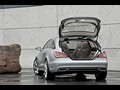 2010 Mercedes-Benz Shooting Break Concept  - Rear Angle 