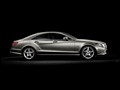 2012 Mercedes Benz CLS-Class  - 