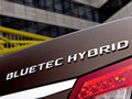 2012 Mercedes-Benz E300 BlueTEC HYBRID - Badge