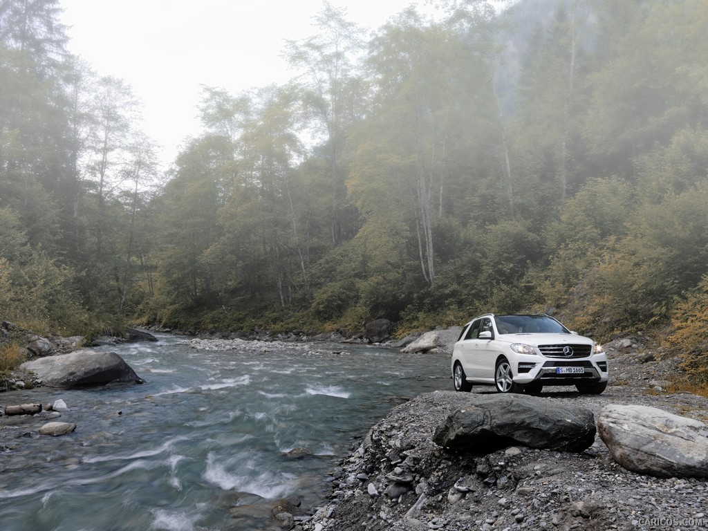 2012 Mercedes-Benz ML 250 BlueTEC 4MATIC - 