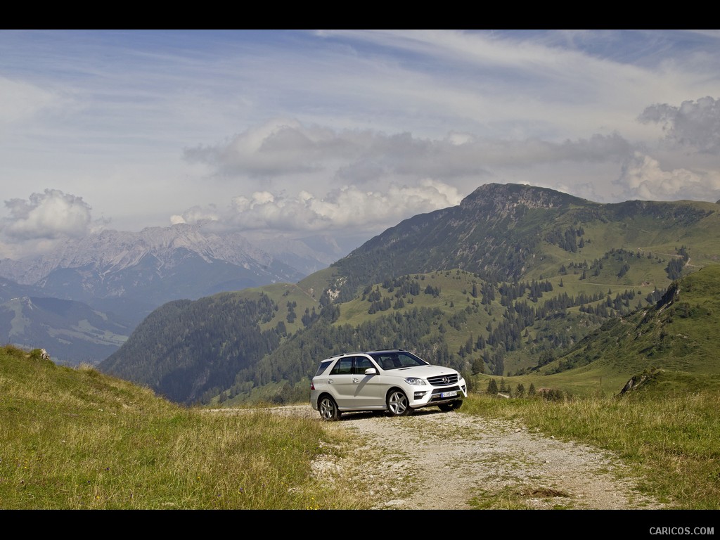 2012 Mercedes-Benz ML 250 BlueTEC 4MATIC - 