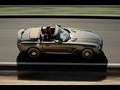 2012 Mercedes-Benz SLS AMG Roadster  - Top