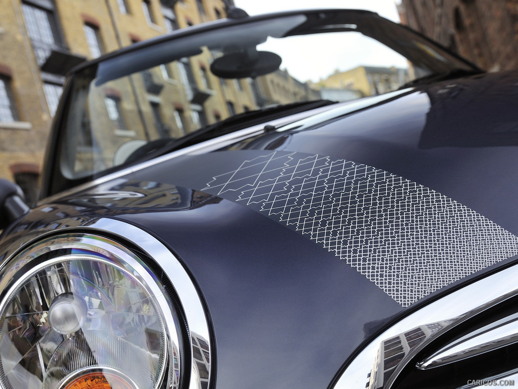 2012 Mini Avenue  - Detail