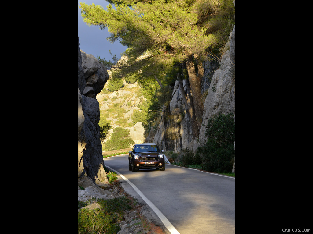 2013 MINI Cooper S Paceman  - Rear