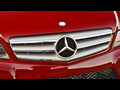 2013 Mercedes-Benz C250 Sedan Sport Package Plus  - Grille