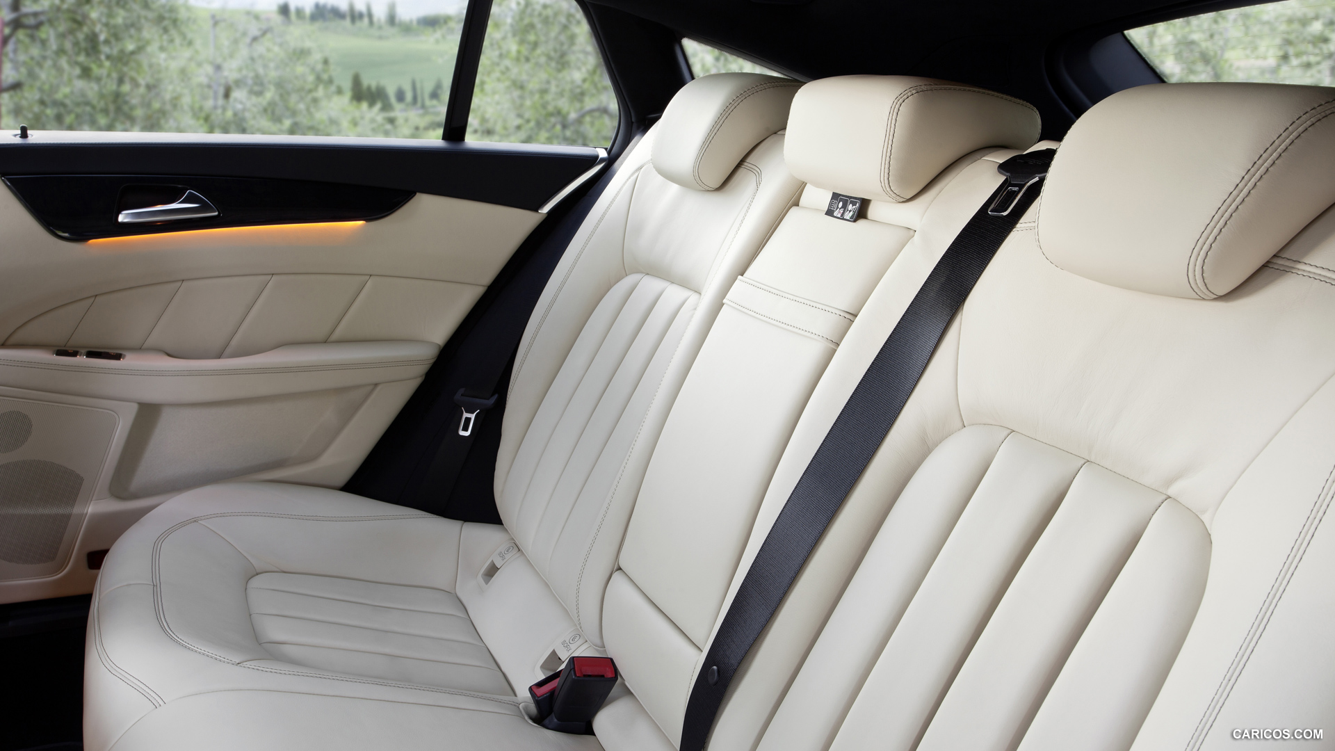 2013 Mercedes-Benz CLS Shooting Brake - Interior Rear Seats, #31 of 184