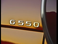 2013 Mercedes-Benz G550  - Badge