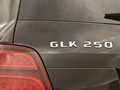 2013 Mercedes-Benz GLK250 BlueTEC (Fully Equipped) - Badge