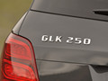 2013 Mercedes-Benz GLK250 BlueTEC  - Badge
