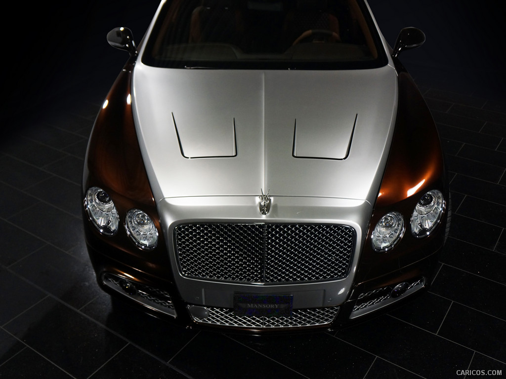 2014 Mansory Bentley Flying Spur  - Hood