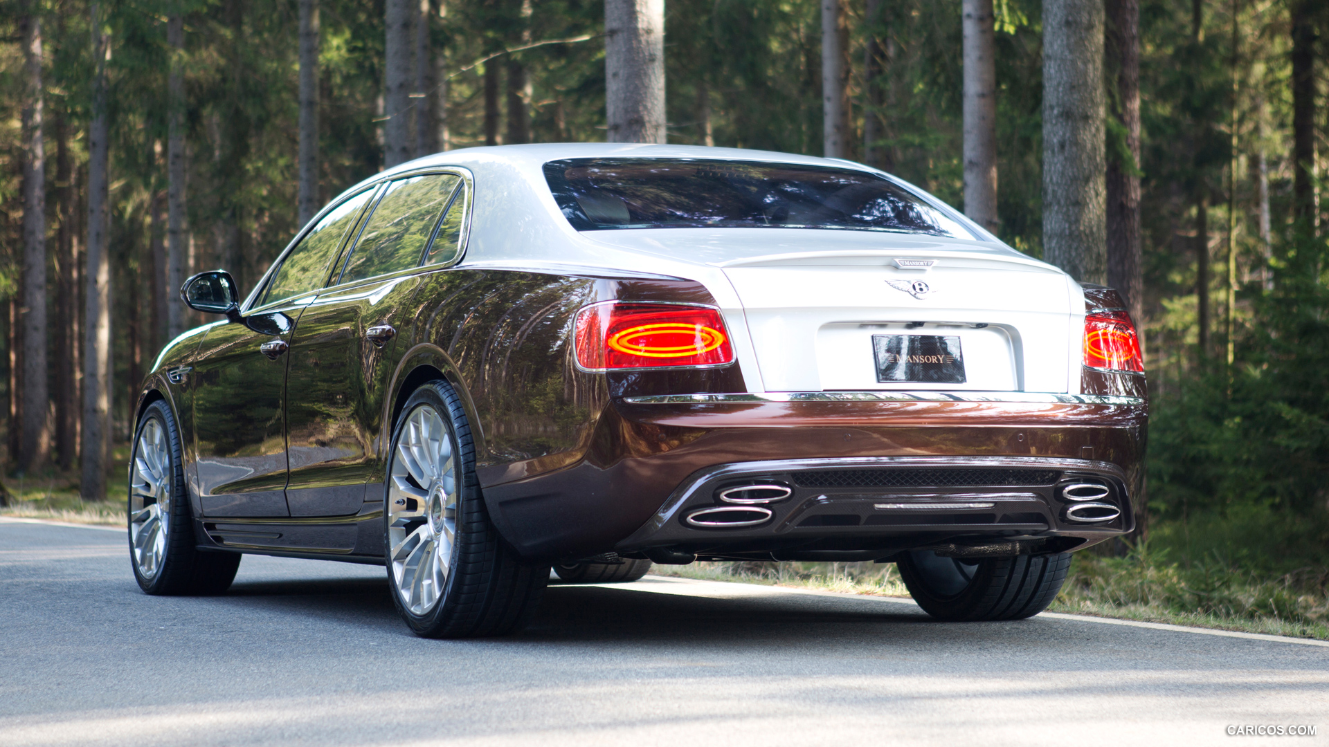 2014 Mansory Bentley Flying Spur  - Rear, #2 of 8