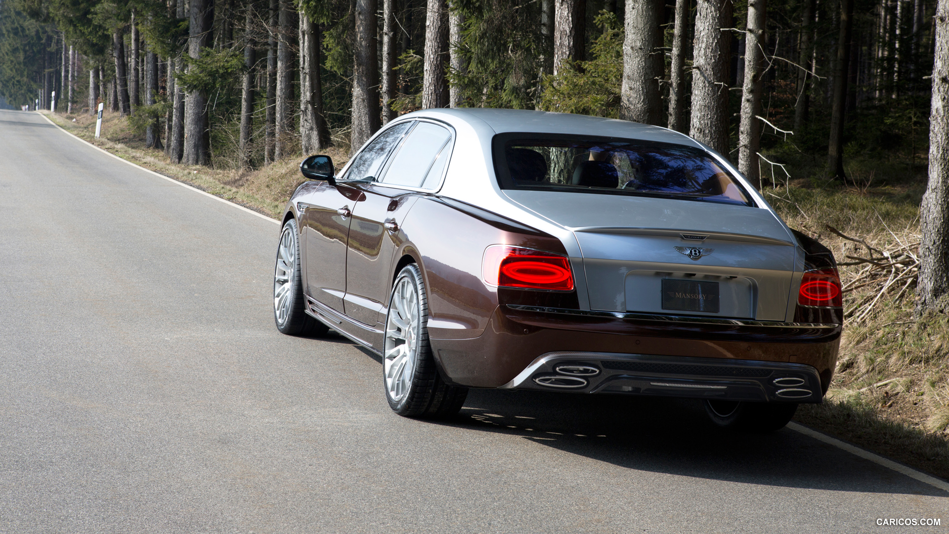 2014 Mansory Bentley Flying Spur  - Rear, #4 of 8