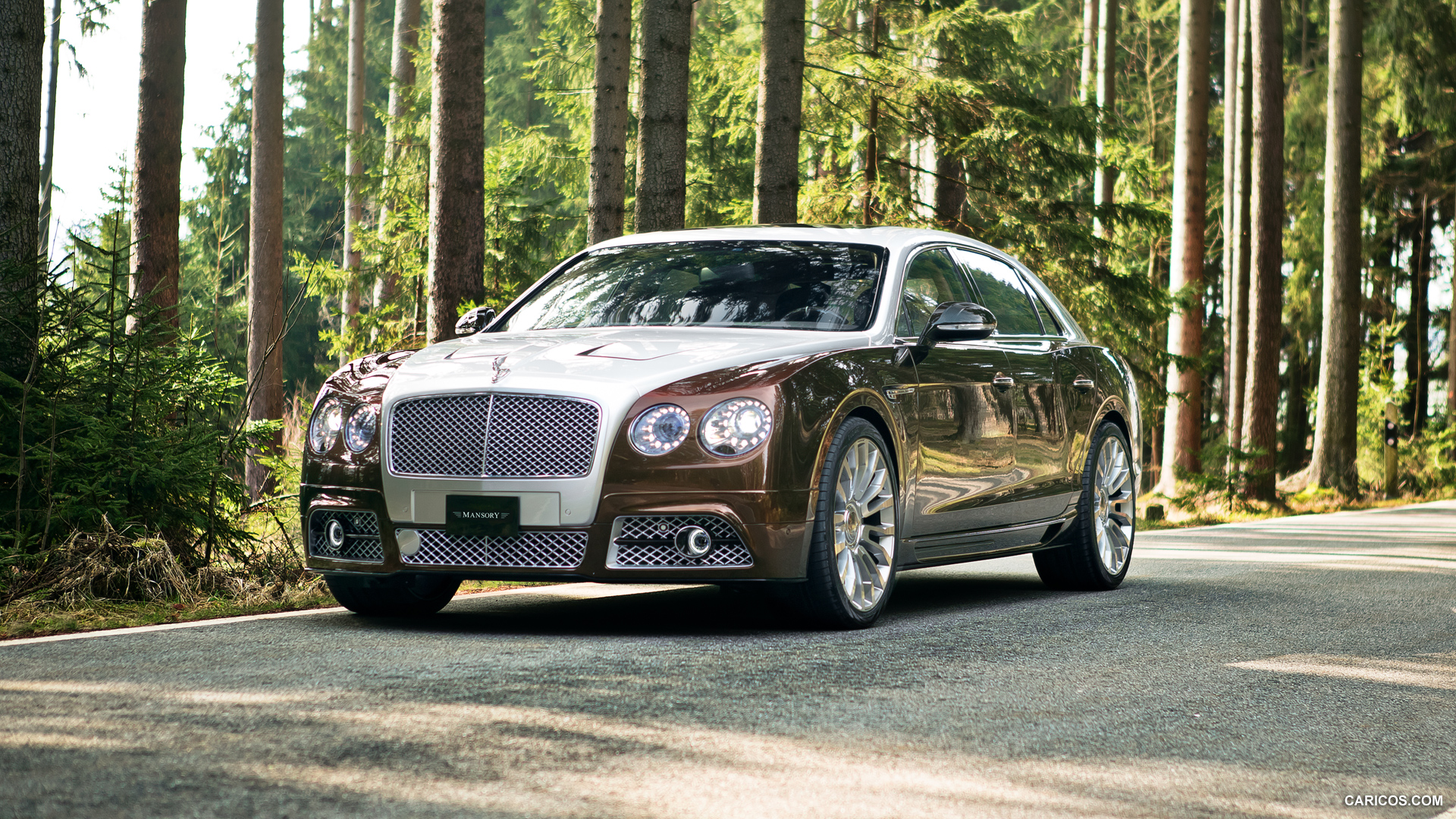 2014 Mansory Bentley Flying Spur with Fog Lights - Front, #1 of 8