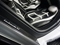 2014 Mansory Carbonado GT based on Lamborghini Aventador  - Door Sill