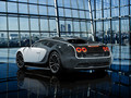 2014 Mansory Vivere based on Bugatti Veyron 16.4  - Rear