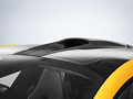 2014 McLaren P1  - Roof