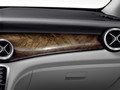 2014 Mercedes-Benz CLA-Class Interior Trim - Detail