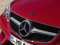 2014 Mercedes-Benz E500 Coupe with AMG Sports Package  - Grille