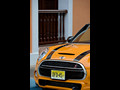 2015 MINI Cooper S (Yellow) - Grille