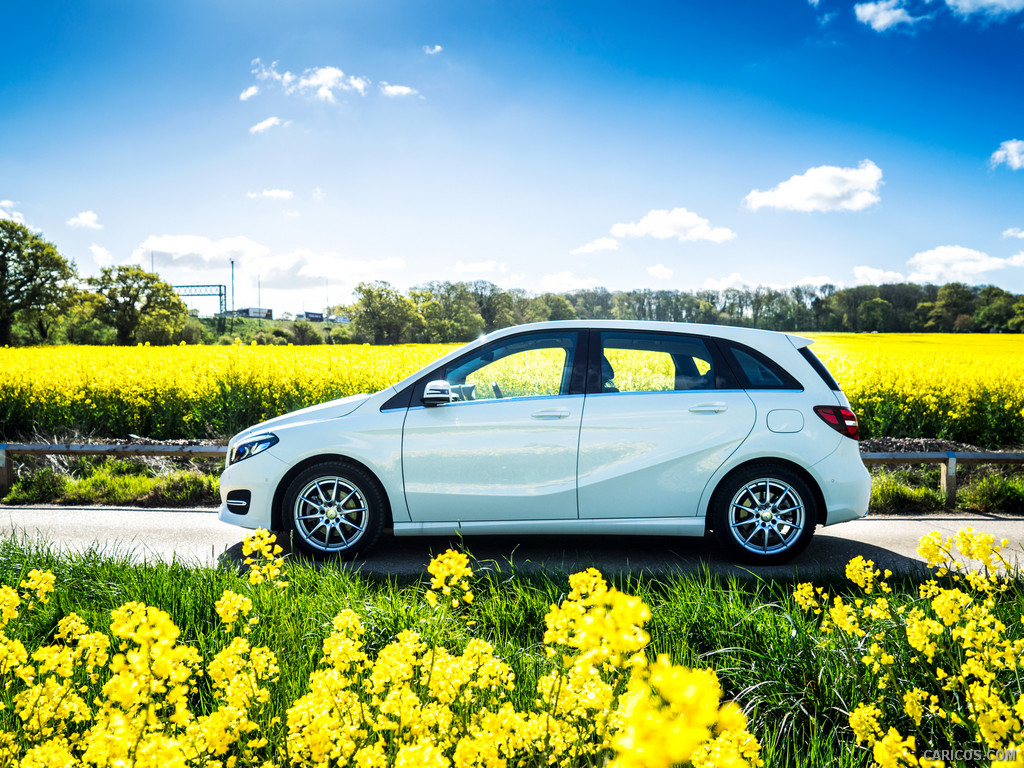 2015 Mercedes-Benz B-Class B220 CDI 4MATIC (UK-Spec)  - Side