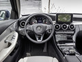 2015 Mercedes-Benz C-Class C 250 Estate (Leather Grey) - Interior