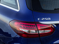 2015 Mercedes-Benz C-Class Estate C250 BlueTEC 4MATIC (AMG sports package) - Tail Light