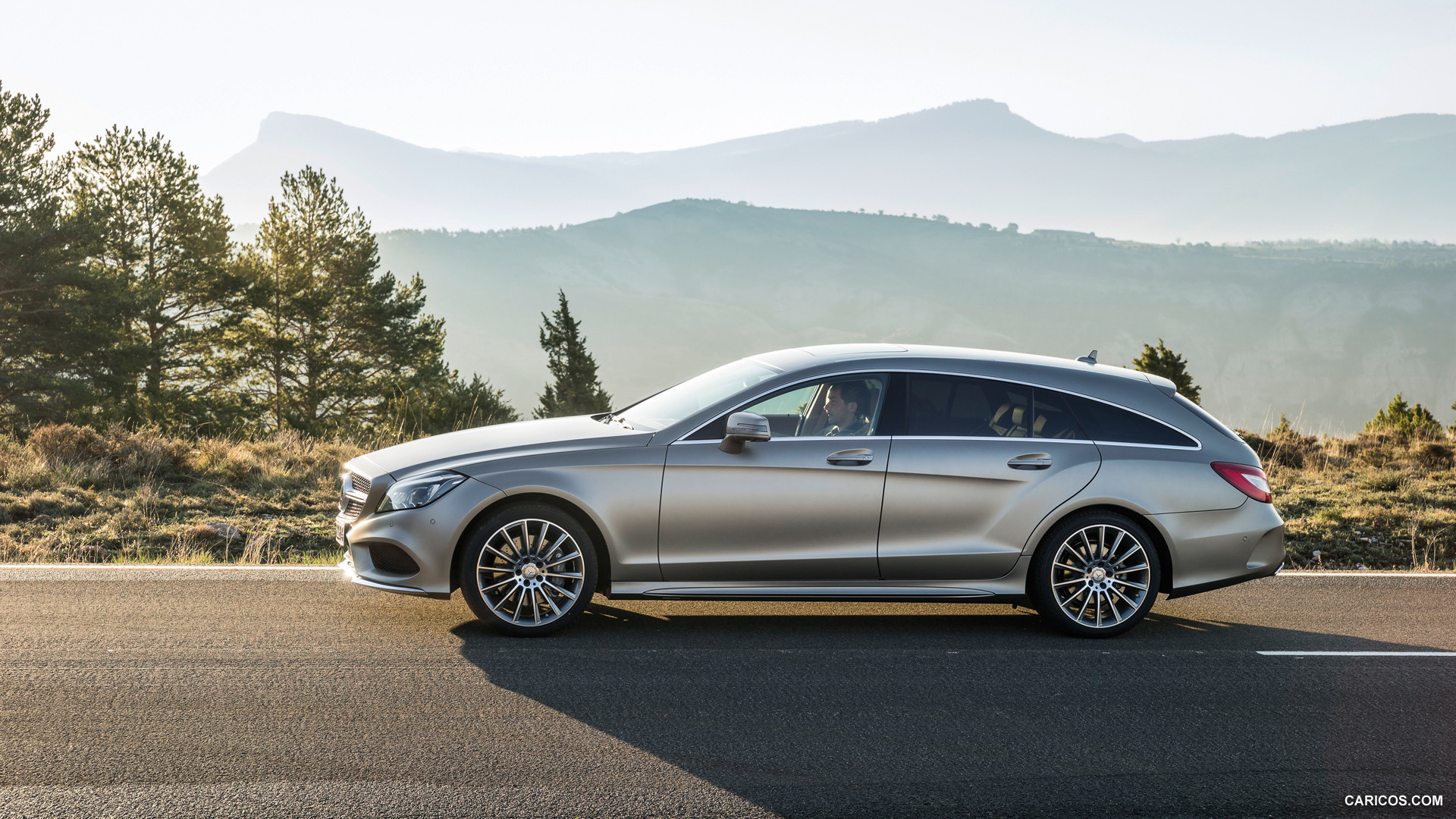 2015 Mercedes-Benz CLS-Class CLS 400 Shooting Brake  - Side, #6 of 87