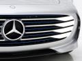 2015 Mercedes-Benz Concept IAA (Intelligent Aerodynamic Automobile) - Grille