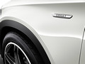 2015 Mercedes-Benz GLA-Class Edition 1  - Detail