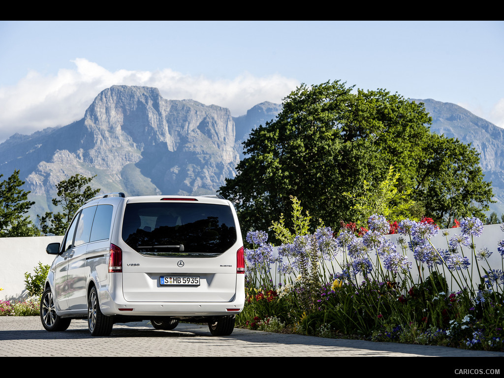 2015 Mercedes-Benz V-Class V250 - Rear