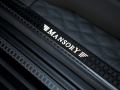 2016 MANSORY GRONOS Black Edition based on Mercedes G63 AMG - Door Sill