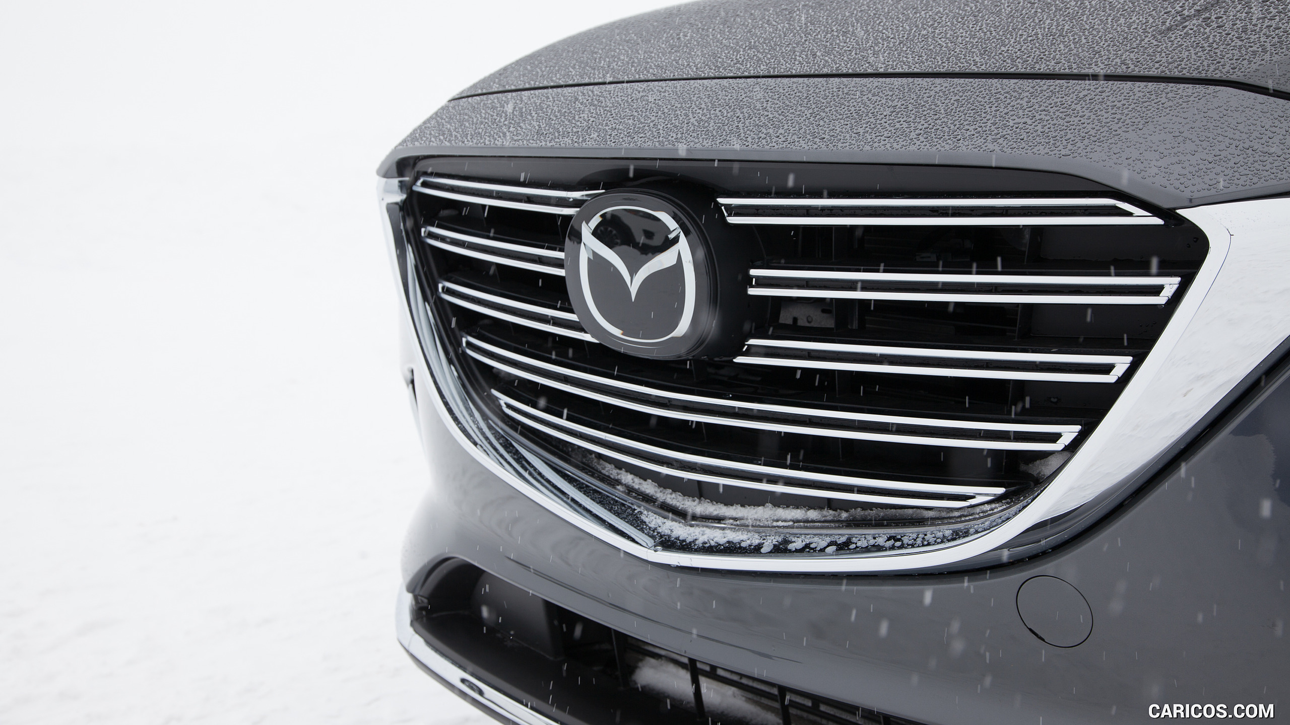 2016 Mazda CX-9 - Grille, #69 of 69
