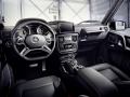 2016 Mercedes-AMG G63 (Sunset Beam) - Interior
