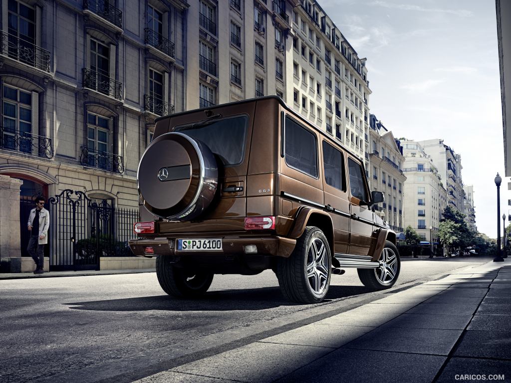 2016 Mercedes-AMG G63 (Design Mystic Brown Bright) - Rear