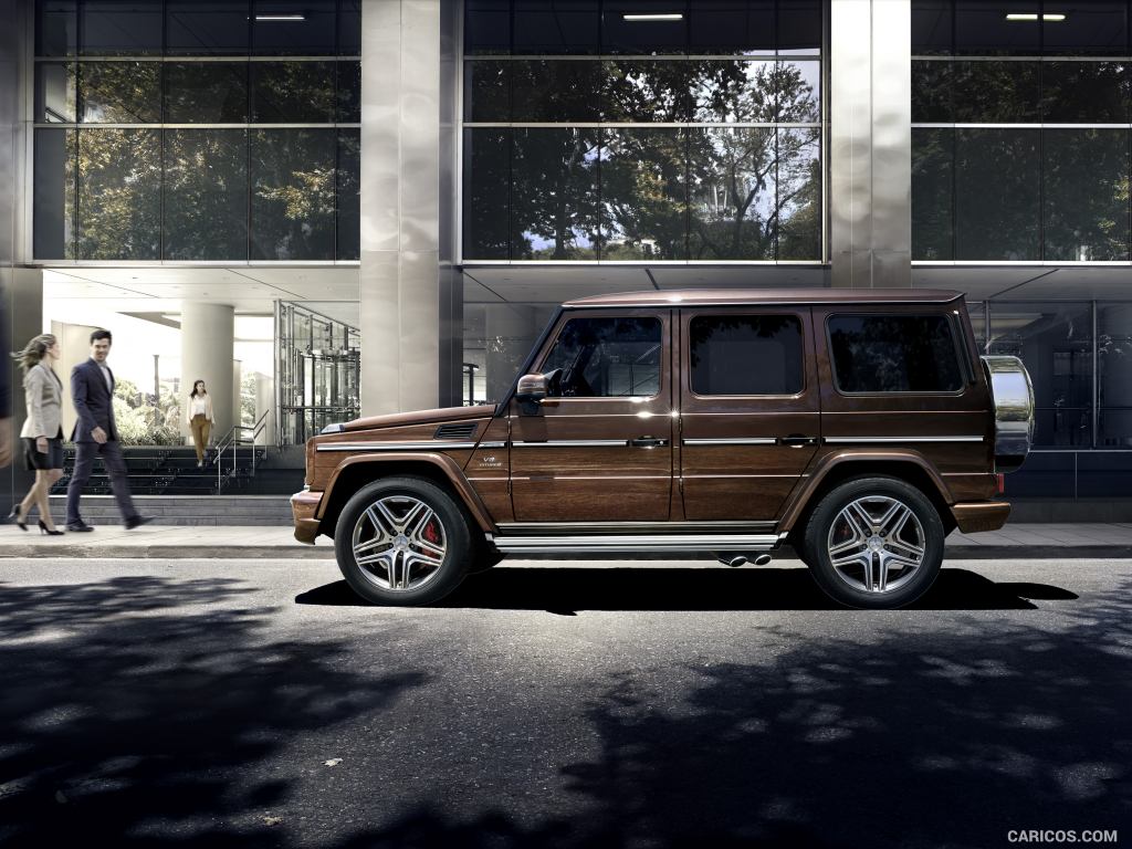 2016 Mercedes-AMG G63 (Design Mystic Brown Bright) - Side