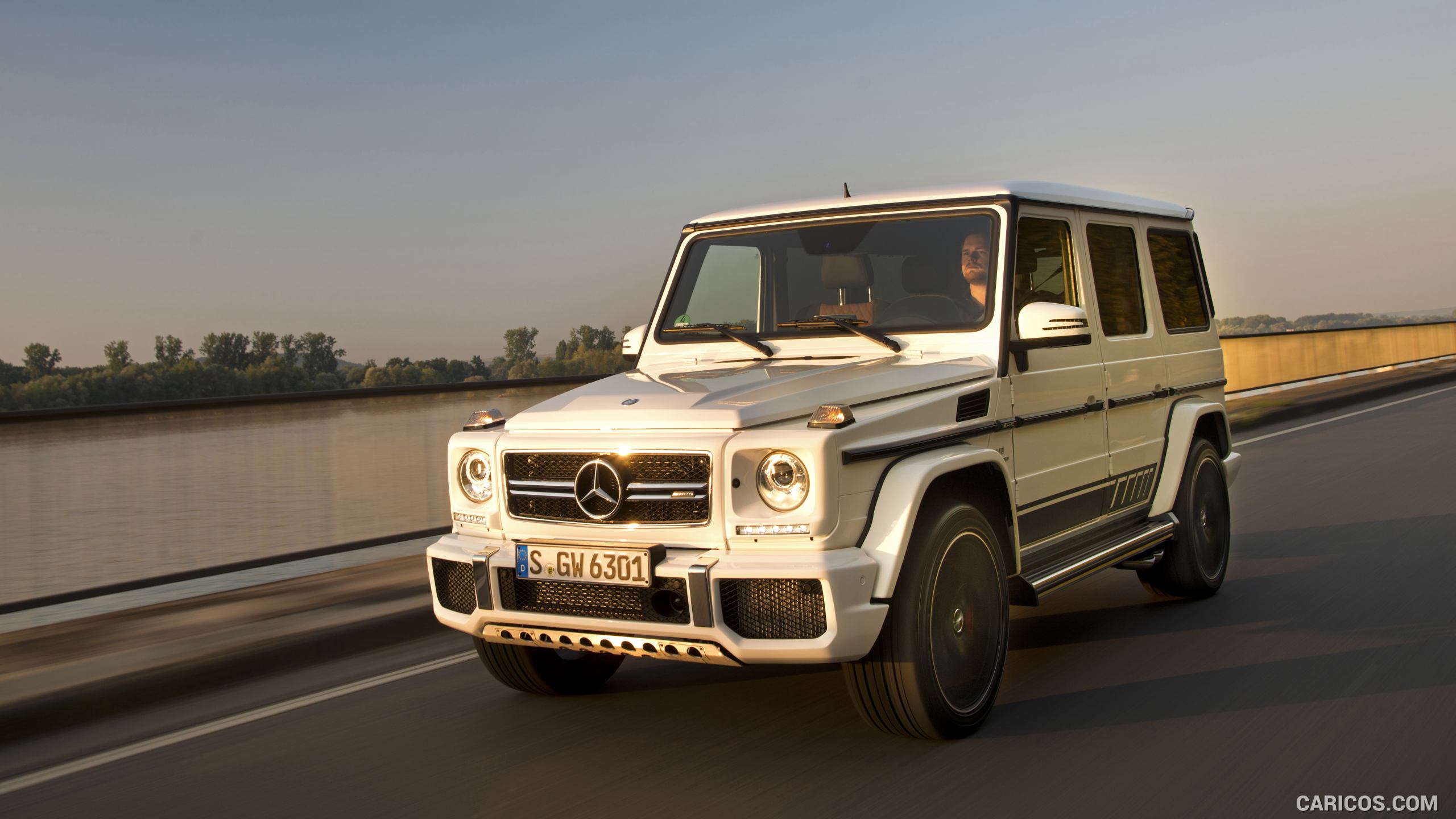 2016 Mercedes-AMG G63 AMG EDITION 463 in Polarwhite - Front, #36 of 48