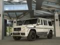 2016 Mercedes-AMG G63 AMG EDITION 463 in Polarwhite - Front