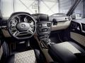 2016 Mercedes-AMG G63 Edition 463 (Designo Nappa Leather Black/Porcelain, AMG Carbon Trim Parts) - Interior