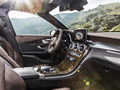 2016 Mercedes-Benz GLC-Class GLC 250d 4MATIC (CITRINE BROWN MAGNO, Offroad Line) - Interior