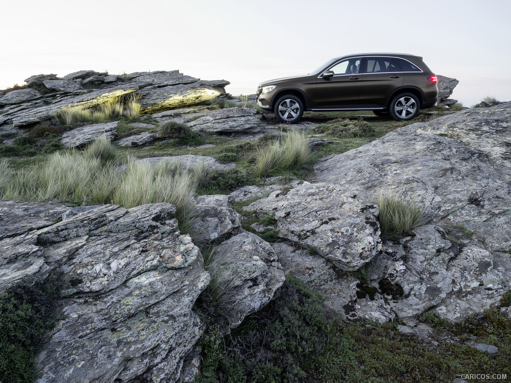 2016 Mercedes-Benz GLC-Class GLC 250d 4MATIC (CITRINE BROWN MAGNO, Offroad Line) - Side