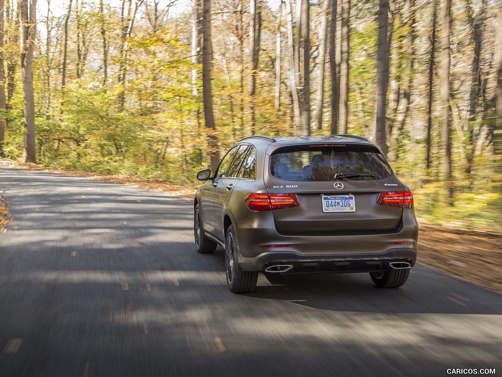 2016 Mercedes-Benz GLC GLC300 4MATIC (US-Spec) - Rear