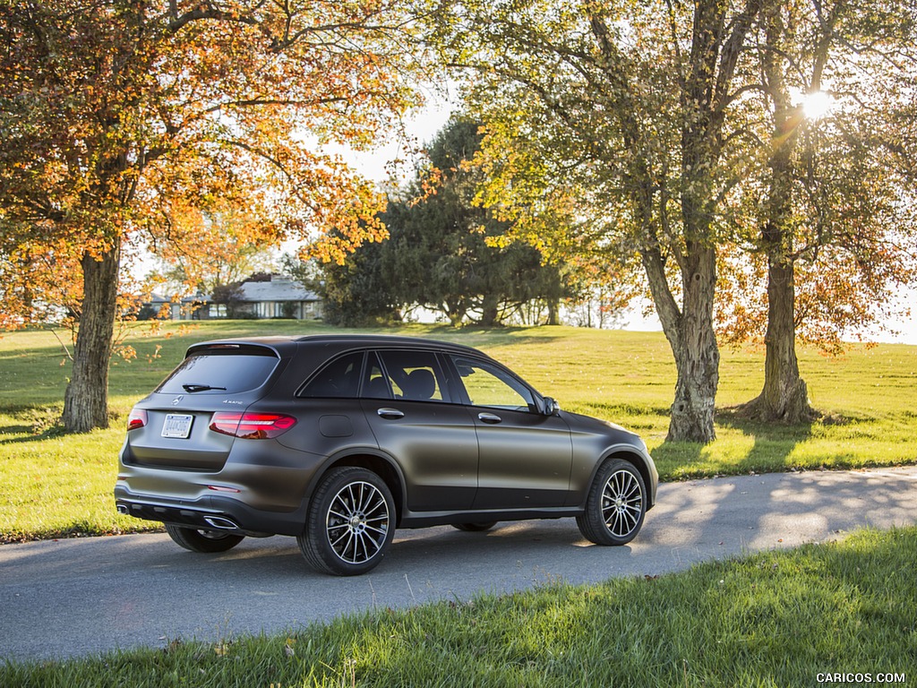 2016 Mercedes-Benz GLC GLC300 4MATIC (US-Spec) - Rear