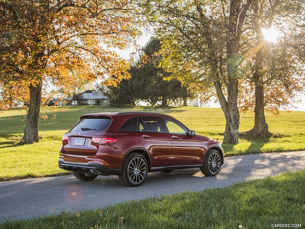 2016 Mercedes-Benz GLC GLC300 4MATIC (US-Spec) - Rear