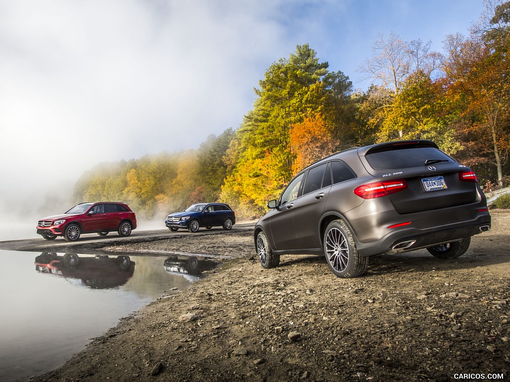 2016 Mercedes-Benz GLC GLC300 4MATIC (US-Spec) - Rear